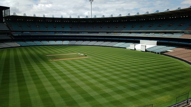 本轮焦点 本轮焦点