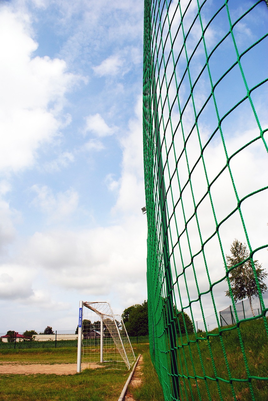 权谋游戏正 权谋游戏正