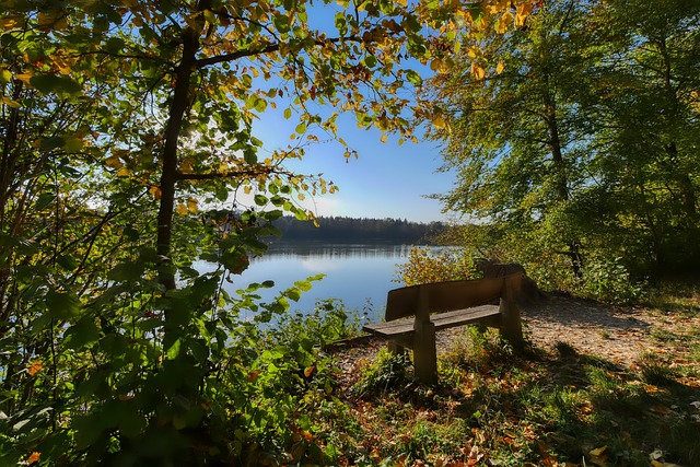 比赛的下半 比赛的下半