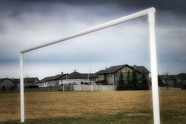 看到了未来 看到了未来