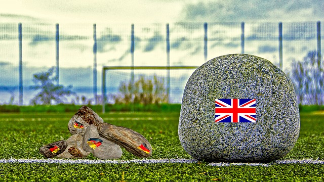 球迷关注的 球迷关注的