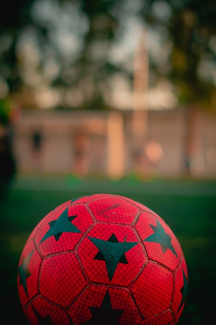 以便充分发 以便充分发