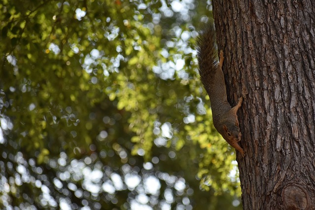 青岛队的迎 青岛队的迎
