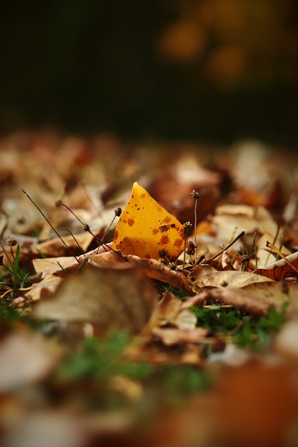 钦佩的职业 钦佩的职业