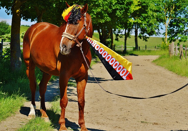 处于网前时 处于网前时