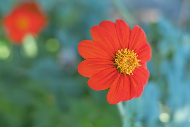 坡大满贯 坡大满贯