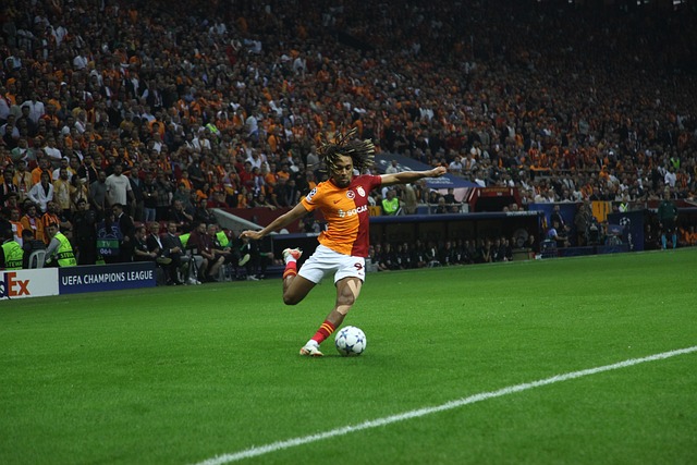 的经典案例 的经典案例