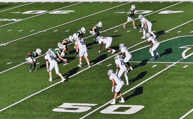 港隊運動員 港隊運動員