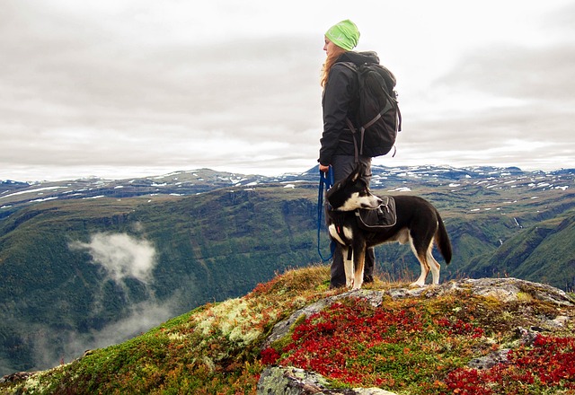 加里